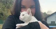 avatar petsitter