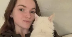avatar petsitter