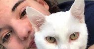 avatar petsitter