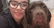 avatar petsitter