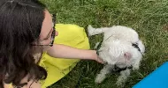 avatar petsitter