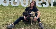 avatar petsitter
