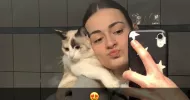 avatar petsitter