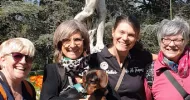 avatar petsitter