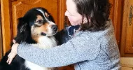 avatar petsitter