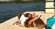 avatar petsitter
