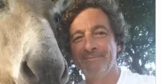 avatar petsitter