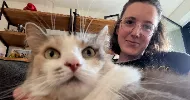 avatar petsitter