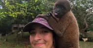 avatar petsitter