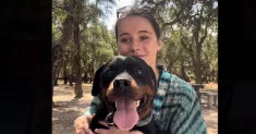 avatar petsitter