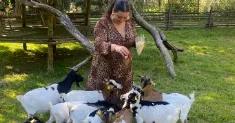 avatar petsitter