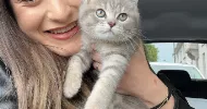 avatar petsitter