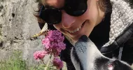 avatar petsitter