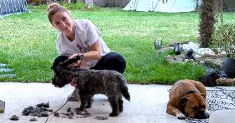 avatar petsitter