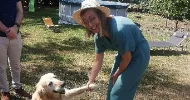 avatar petsitter