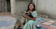 avatar petsitter