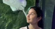 avatar petsitter