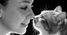 avatar petsitter