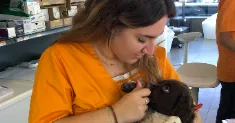avatar petsitter