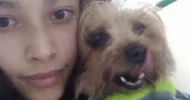 avatar petsitter