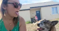 avatar petsitter