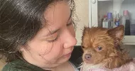 avatar petsitter