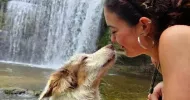 avatar petsitter