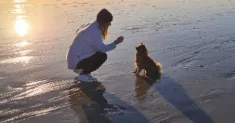avatar petsitter
