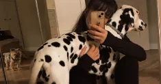 avatar petsitter