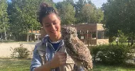 avatar petsitter