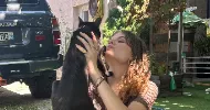 avatar petsitter