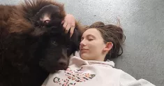 avatar petsitter