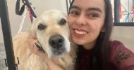 avatar petsitter