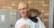 avatar petsitter