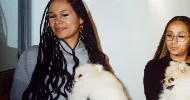avatar petsitter
