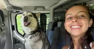 avatar petsitter