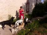 avatar petsitter