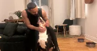 avatar petsitter