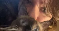 avatar petsitter