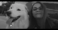 avatar petsitter