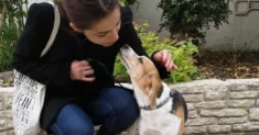 avatar petsitter