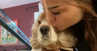 avatar petsitter