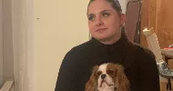 avatar petsitter