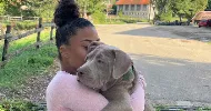 avatar petsitter