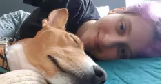 avatar petsitter
