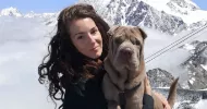 avatar petsitter