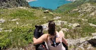 avatar petsitter