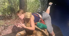 avatar petsitter