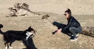 avatar petsitter