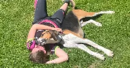 avatar petsitter